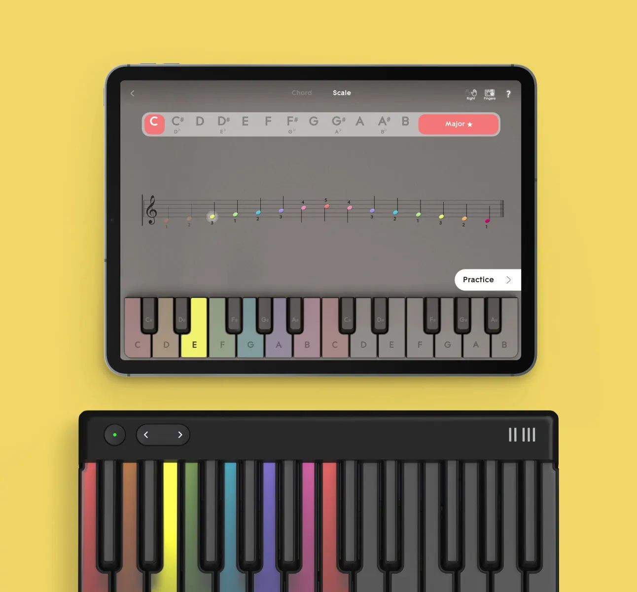 ROLI Piano M (LUMI Keys Studio Edition) миди-клавиатура с подсветкой