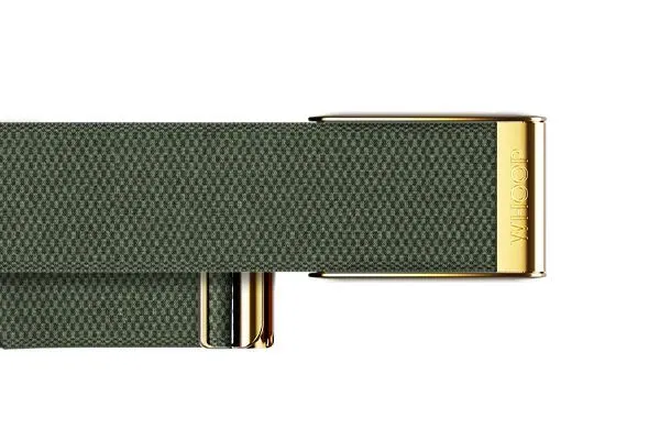 Ремешок для браслета WHOOP 4.0 SUPERKNIT LUXE Ivy with Gold