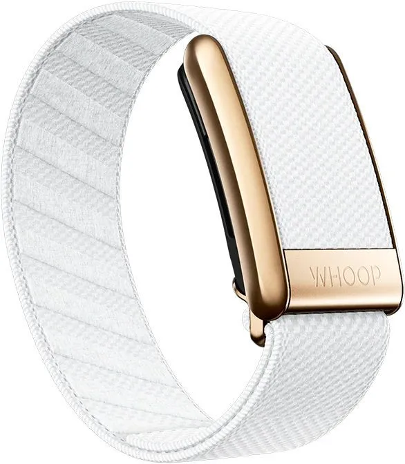 УЦЕНКА Whoop Band Arctic with Rose Gold (Вскрыта упаковка)